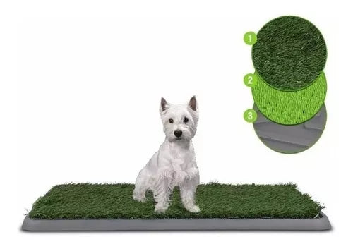 Tapete Entrenador para Mascotas 🐶 Baño Interior sin Ensuciar la Casa GRANDE