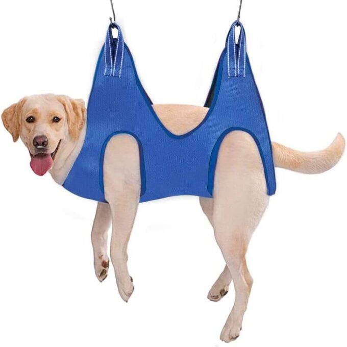 Arnés de Aseo para Mascotas 🐶🐱 Baño Seguro y Sin Estrés