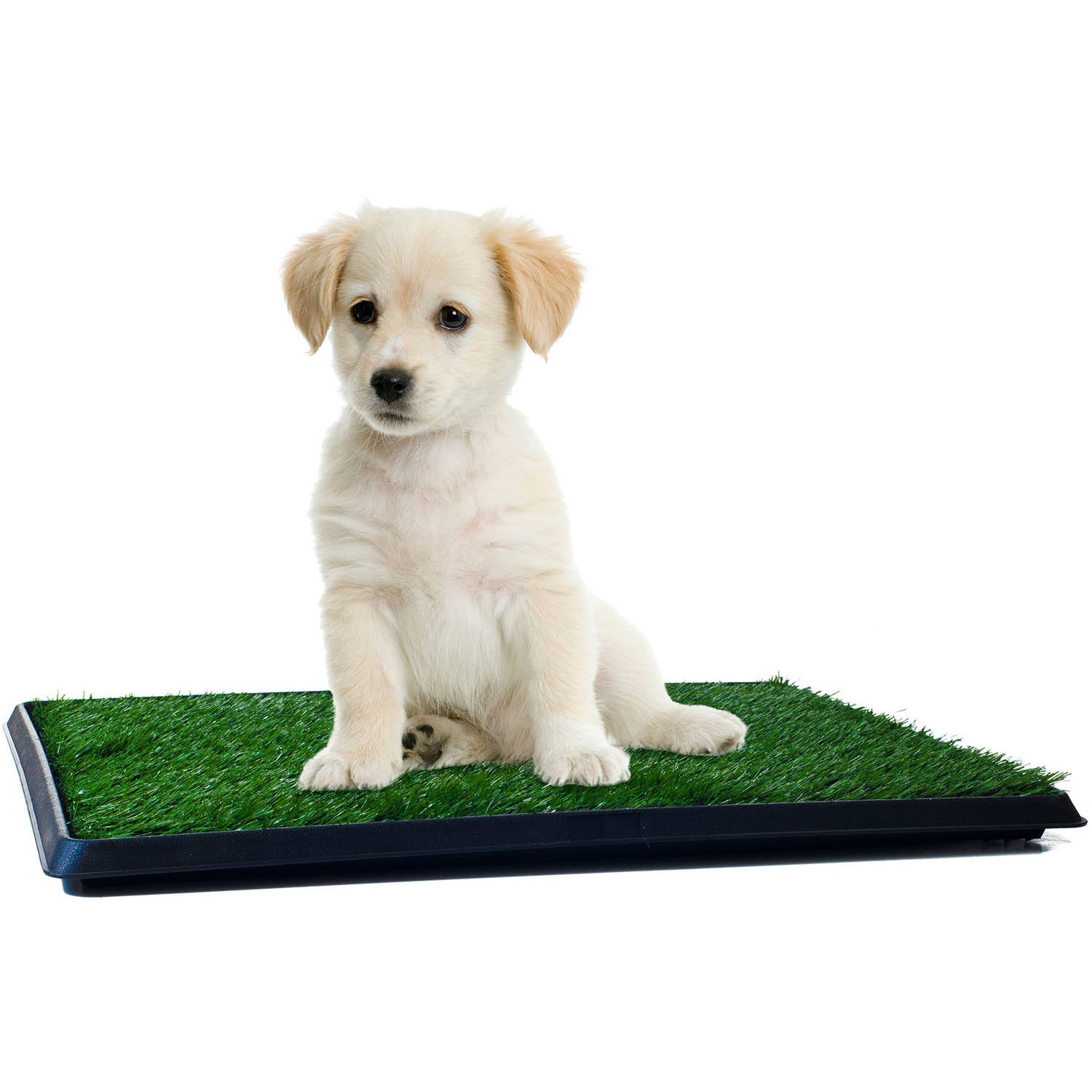 Promocion Tapete De Entrenamiento Interiores Perros Pequeños Puppy Pad - zaffary store