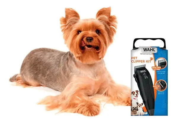 Cortadora de Pelo Wahl Pet Clipper 🐾 Peluquería para Perros Fácil y Segura