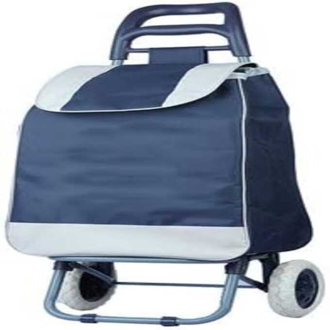 Carro de compras plegable con ruedas