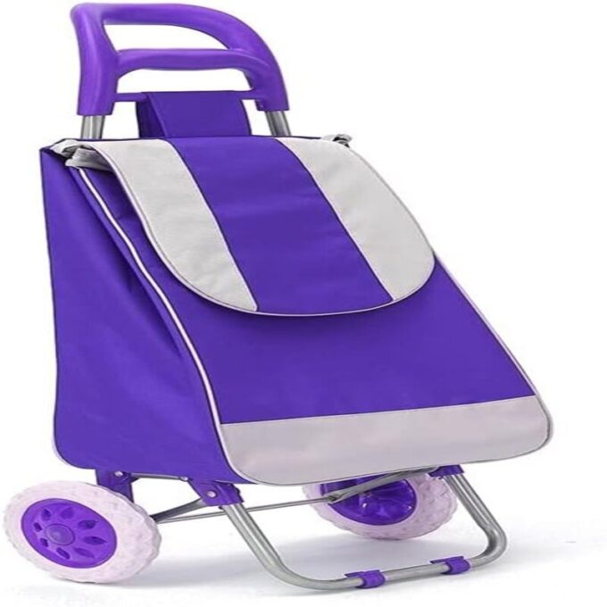 Carro de compras plegable con ruedas